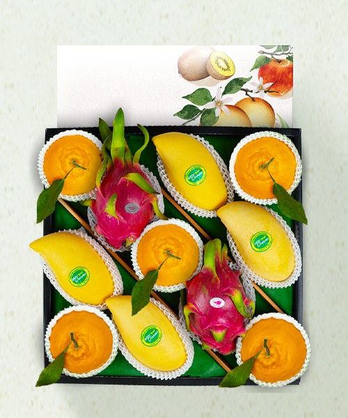 [정성담은]프리미엄 신선과일 3종 선물세트 3.8kg(11과)